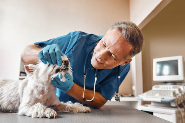 Best Emergency Tooth Extraction in Mcminnville, TN